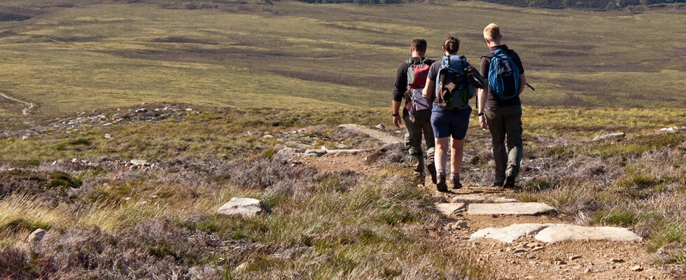 Walkers on a path in the Cairngorms